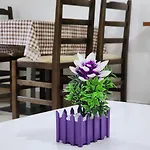 Apartament Blue Wlora